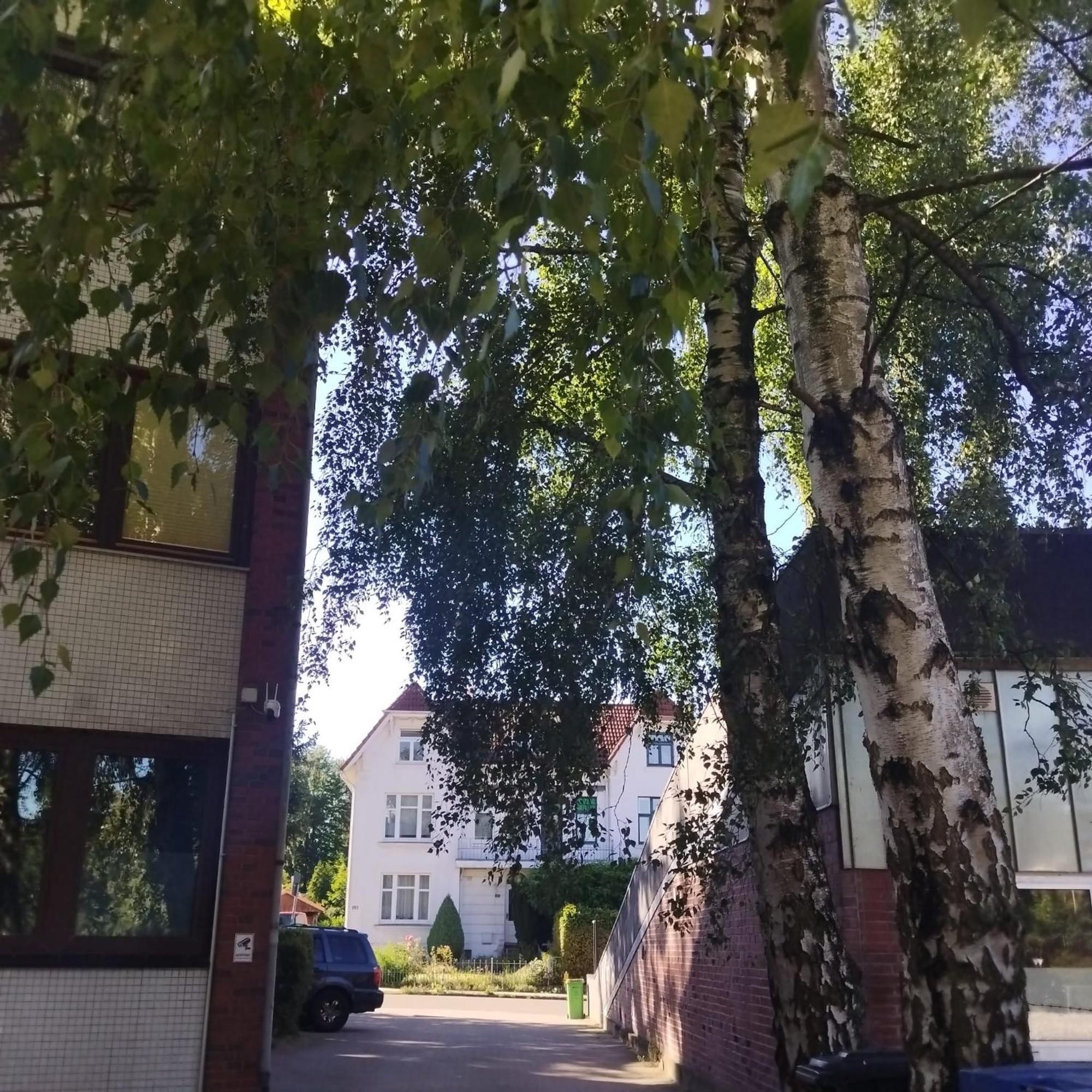 Monteurzimmer In Hamburg West Bei Hansezimmer Zewnętrze zdjęcie